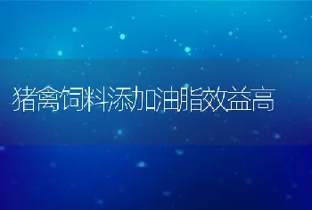 猪禽饲料添加油脂效益高