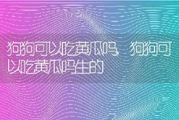 狗狗可以吃黄瓜吗，狗狗可以吃黄瓜吗生的