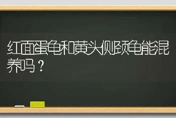 红面蛋龟和黄头侧颈龟能混养吗？