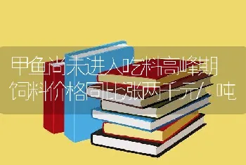 甲鱼尚未进入吃料高峰期 饲料价格同比涨两千元/吨