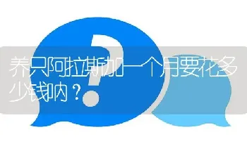 养只阿拉斯加一个月要花多少钱呐？