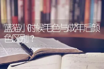 蓝猫小时候毛色与成年后颜色区别？