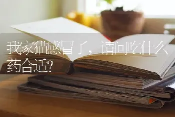 狗肠胃炎什么症状？