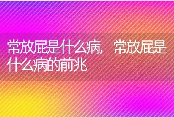 常放屁是什么病，常放屁是什么病的前兆