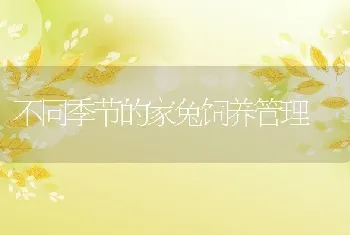 长毛对虾养殖