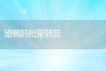 餐饮废物可制蛋白饲料