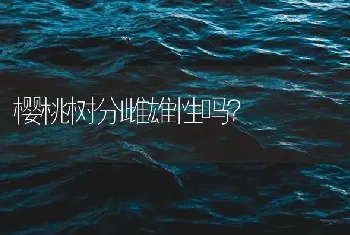 樱桃树分雌雄性吗？