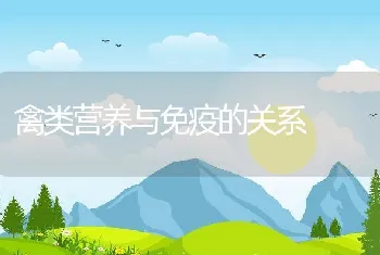 禽类营养与免疫的关系