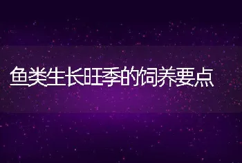 鱼类生长旺季的饲养要点