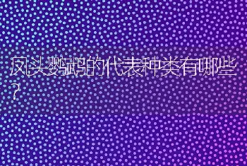 柴犬和秋田哪个好秋田犬和柴犬哪个更听话？