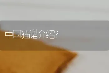 中国猫谱介绍？