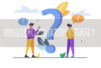 鹿娃娃和吉娃娃哪个聪明？