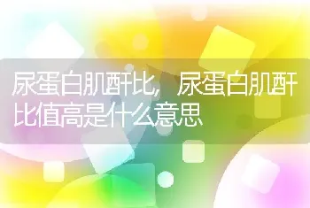 尿蛋白肌酐比，尿蛋白肌酐比值高是什么意思