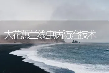 大花蕙兰线虫病防治技术