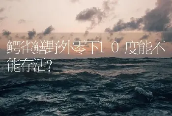 鳄雀鳝野外零下10度能不能存活？