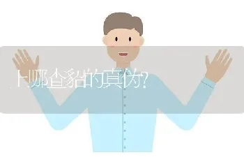 上哪查貂的真伪？