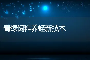 青绿饲料养蛭新技术