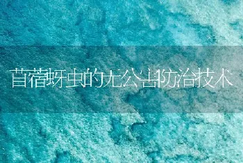 苜蓿蚜虫的无公害防治技术