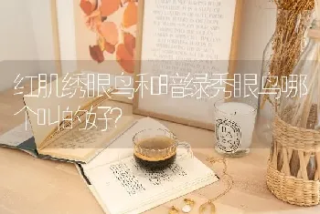 红肌绣眼鸟和暗绿秀眼鸟哪个叫的好？