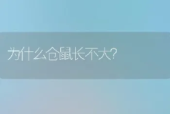 为什么仓鼠长不大？