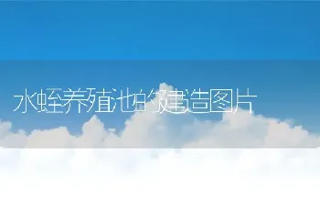 水蛭养殖池的建造图片