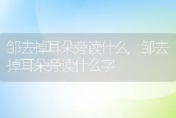 邹去掉耳朵旁读什么，邹去掉耳朵旁读什么字