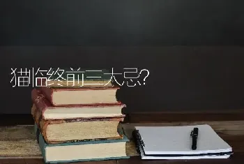 猫临终前三大忌？