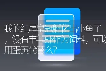 我的红尾皇冠孵化出小鱼了，没有丰年虾作为饲料，可以用蛋黄代替么？