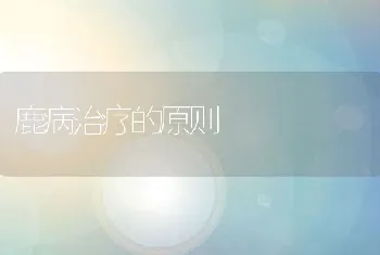 罗非鱼与对虾套养技术