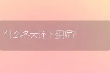 什么冬天还下蛋呢？