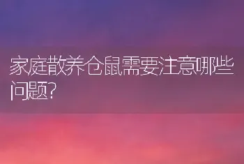 家庭散养仓鼠需要注意哪些问题？