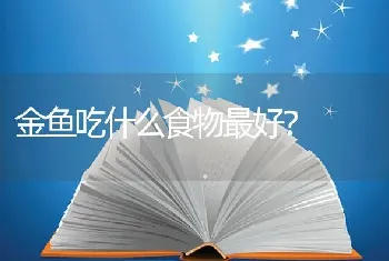 金鱼吃什么食物最好？