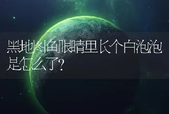 黑地图鱼眼睛里长个白泡泡是怎么了？