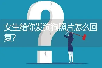 女生给你发狗狗照片怎么回复？