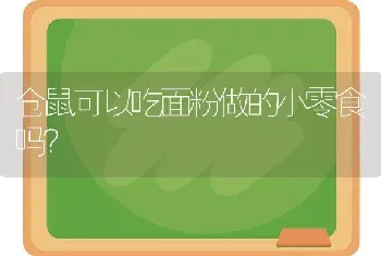 仓鼠可以吃面粉做的小零食吗？