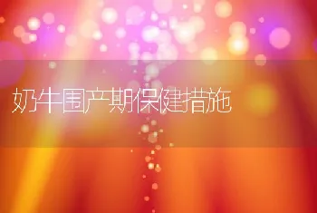 奶牛围产期保健措施