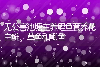 无公害池塘主养鲤鱼套养花白鲢、草鱼和鲫鱼