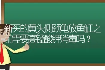 新买的黄头侧颈龟放鱼缸之前需要高锰酸钾消毒吗？