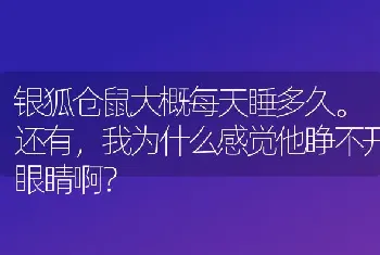 银狐仓鼠大概每天睡多久。还有，我为什么感觉他睁不开眼睛啊？