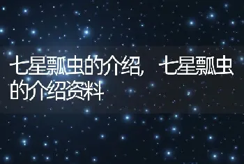 七星瓢虫的介绍，七星瓢虫的介绍资料