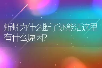 蚯蚓为什么断了还能活这里有什么原因？