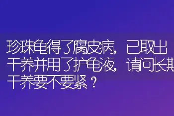 珍珠龟得了腐皮病，已取出干养并用了护龟液，请问长期干养要不要紧？