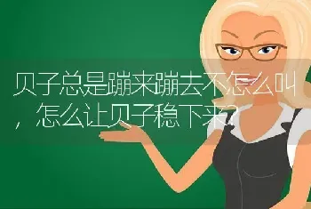 贝子总是蹦来蹦去不怎么叫，怎么让贝子稳下来？