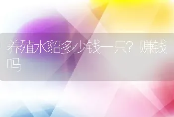 养殖水貂多少钱一只？赚钱吗