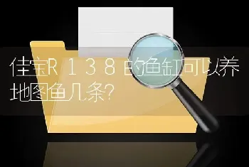 佳宝R138的鱼缸可以养地图鱼几条？