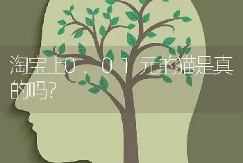 淘宝上0.01元的猫是真的吗？