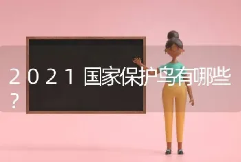 2021国家保护鸟有哪些？