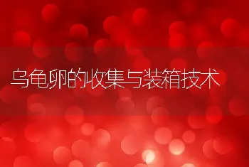 怀头鲶又成鲶鱼的杂交种和生长习性及鲶鱼实用养殖技术