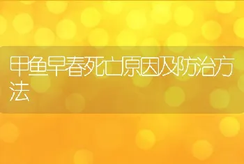 甲鱼早春死亡原因及防治方法