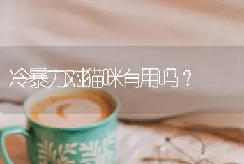 冷暴力对猫咪有用吗？